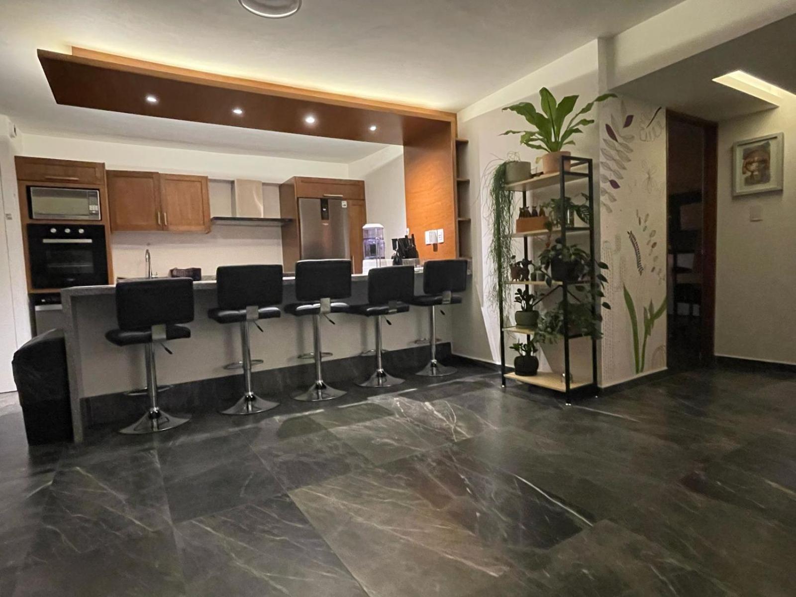 Great Apartment In The Heart Of Coyoacan Città del Messico Esterno foto
