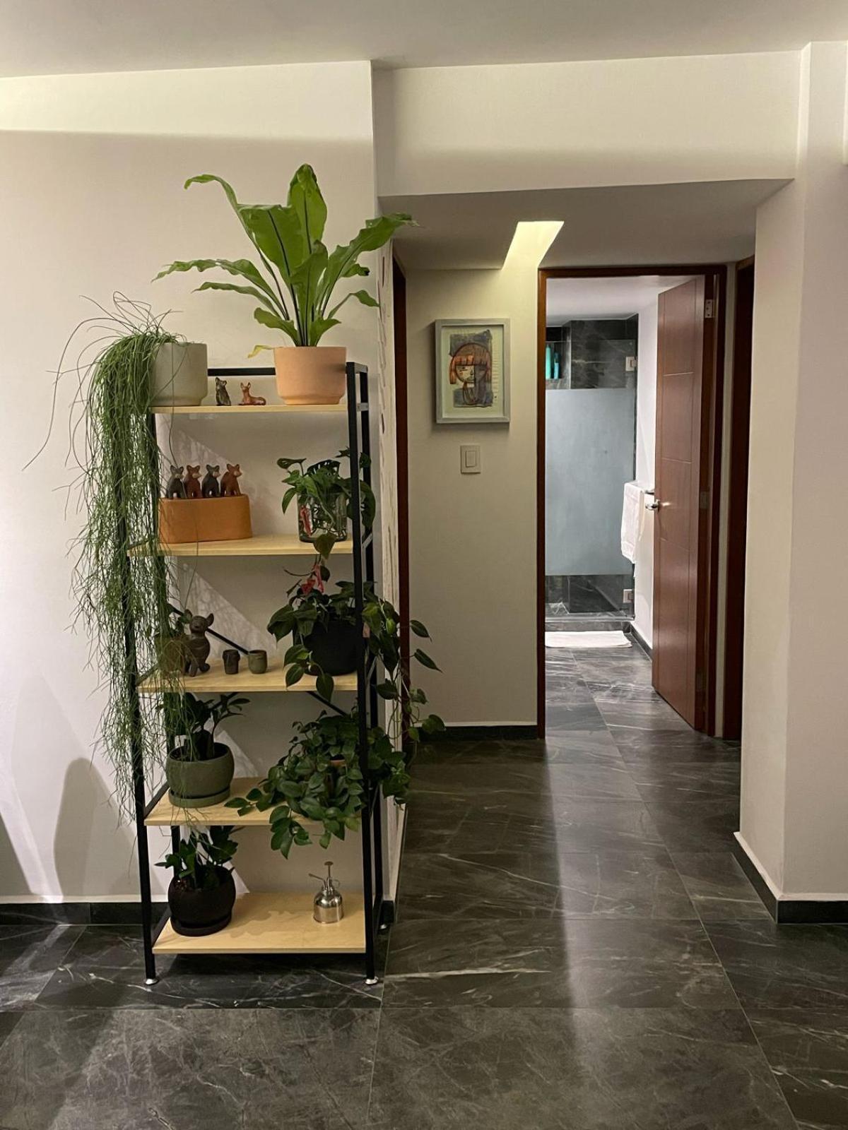 Great Apartment In The Heart Of Coyoacan Città del Messico Esterno foto